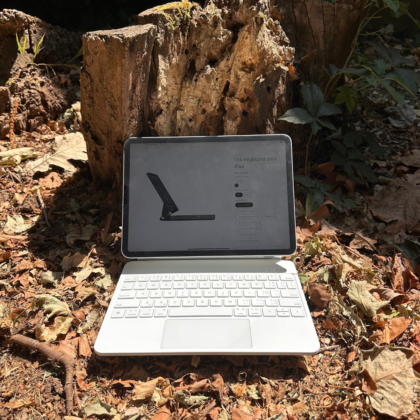 Clik Keyboard para iPad